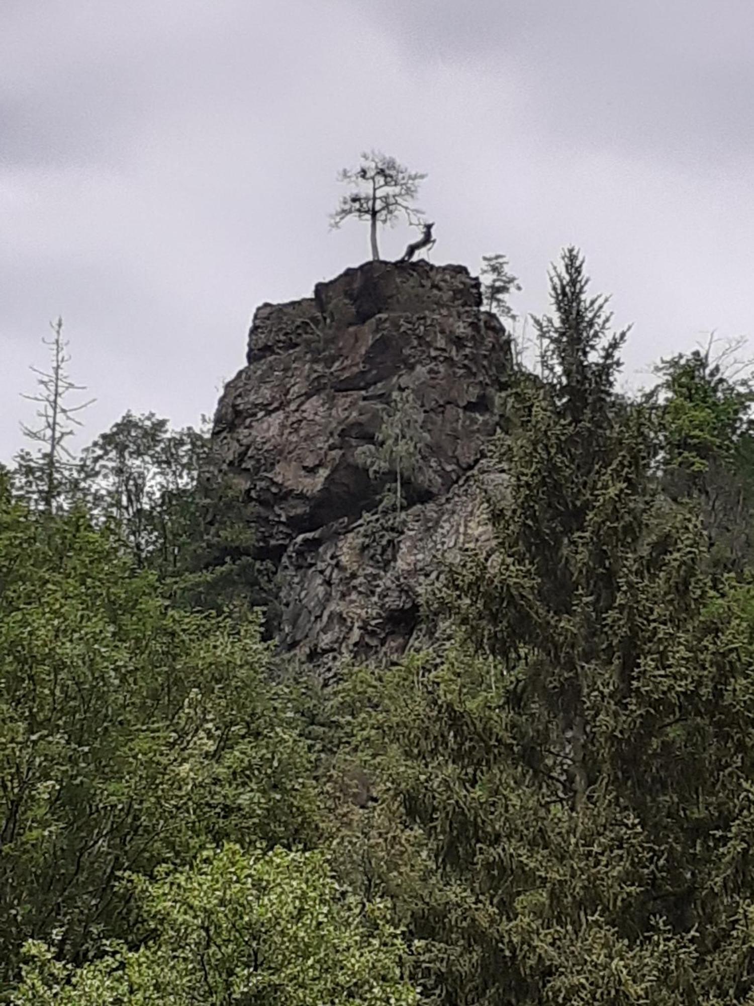 Ferienhaus Am See Lichtenberg Bayern Frankenwaldsee Eksteriør bilde